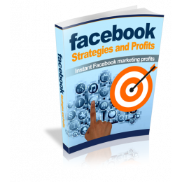 Facebook Strategies and Profits