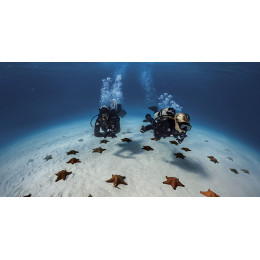 SDI Open Water Scuba Diver